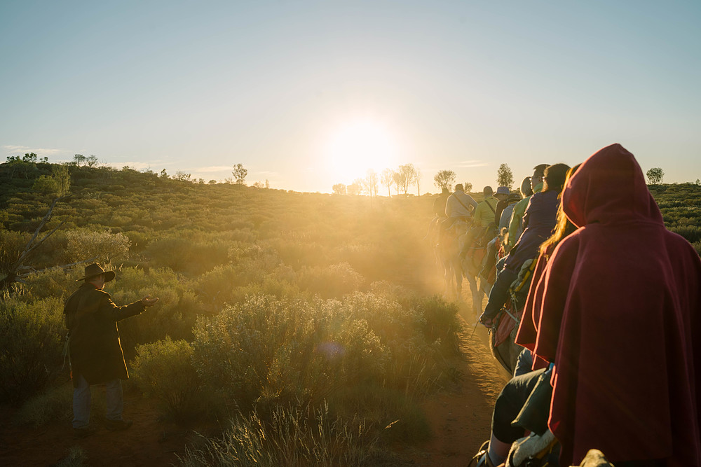 chameau à uluru