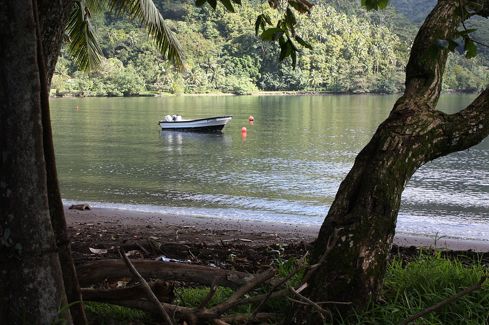 Baie de Cook ou Opunohu à Moorea