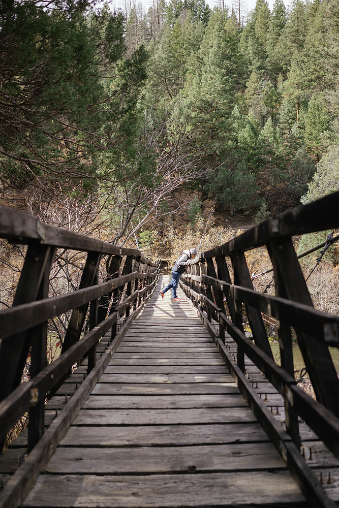 heron lake bridge