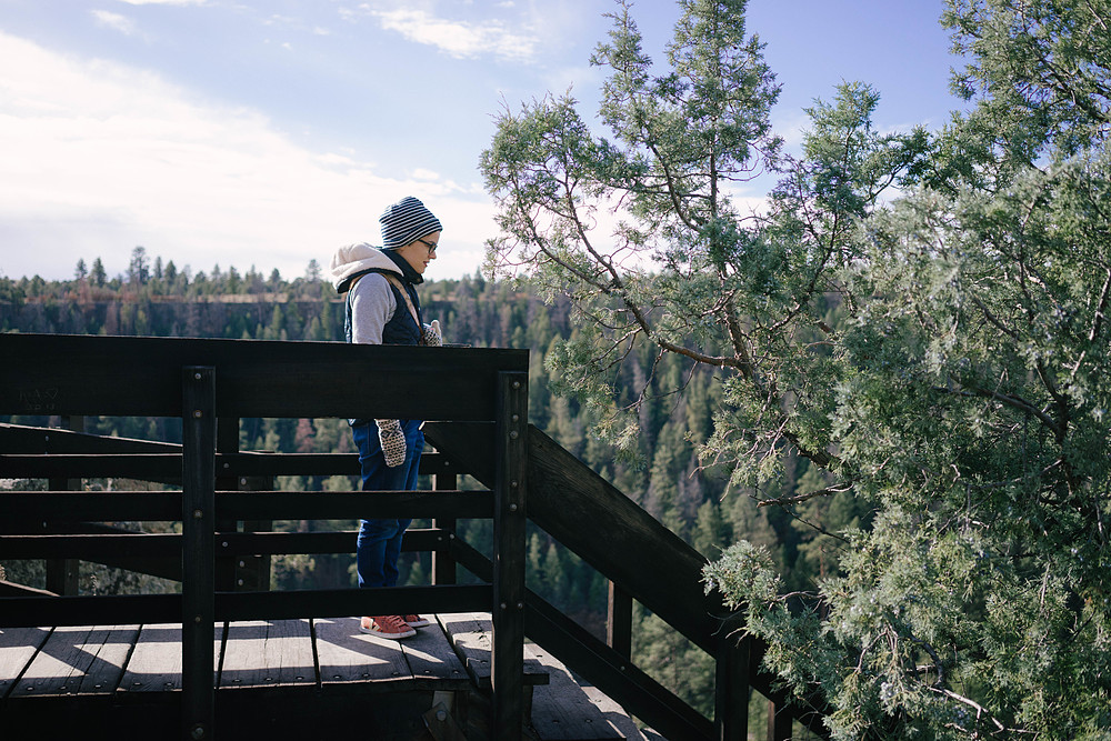 heron lake state park