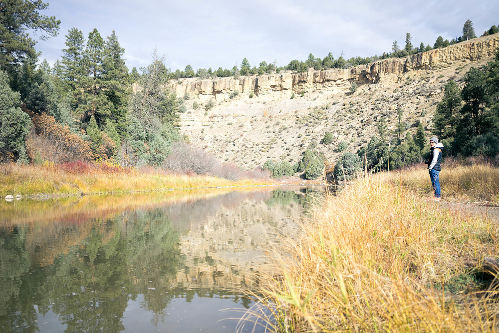 heron lake state park