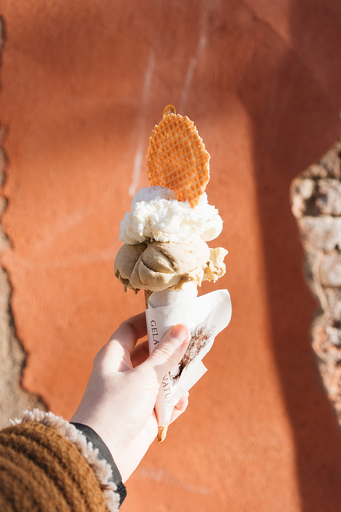 Gelato di Natura Venise