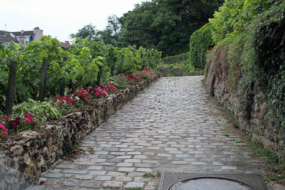 Vignes de Montmartre