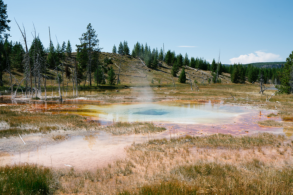 geyser à yellowstone