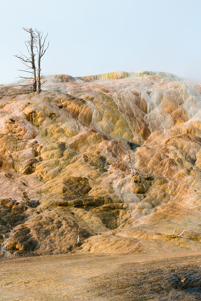 mammoth hot springs yellowstone