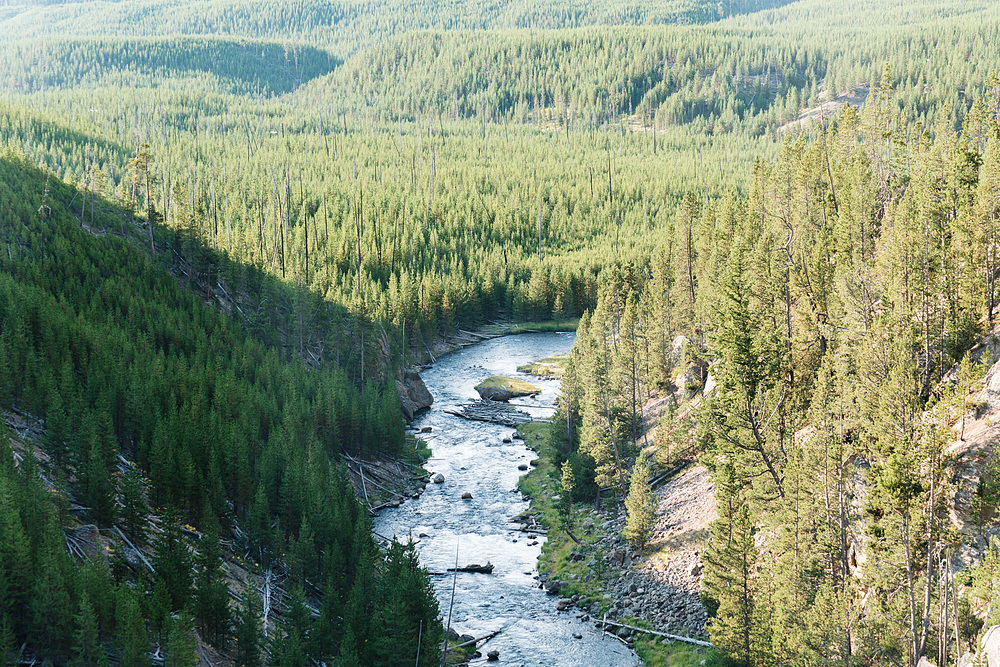 yellowstone