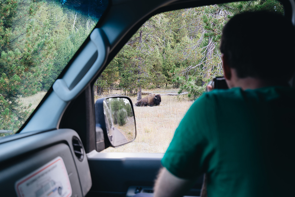 norris campground yellowstone