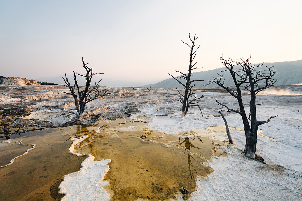 mammoth hot springs yellowstone