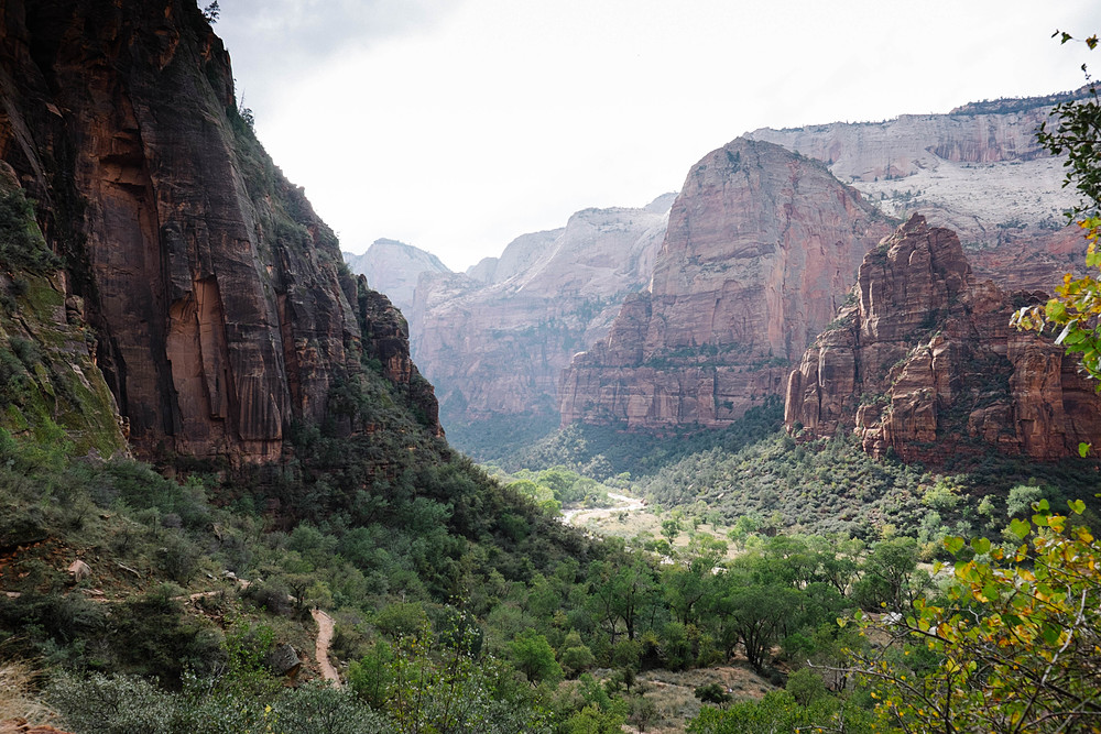 paysage zion utah